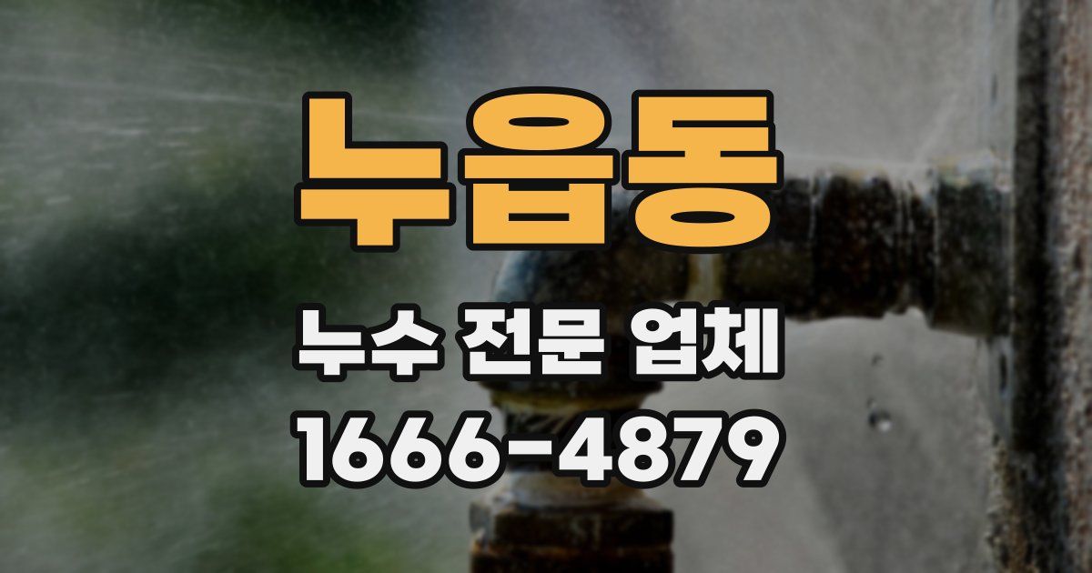 누읍동 누수 전문 업체