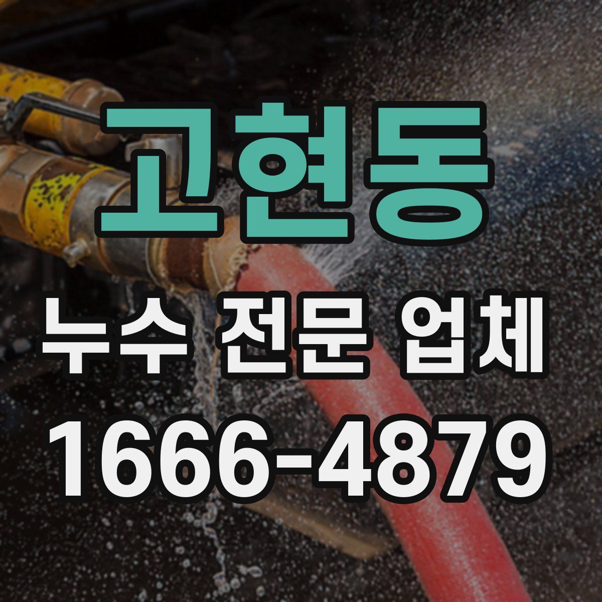 고현동 누수 전문 업체