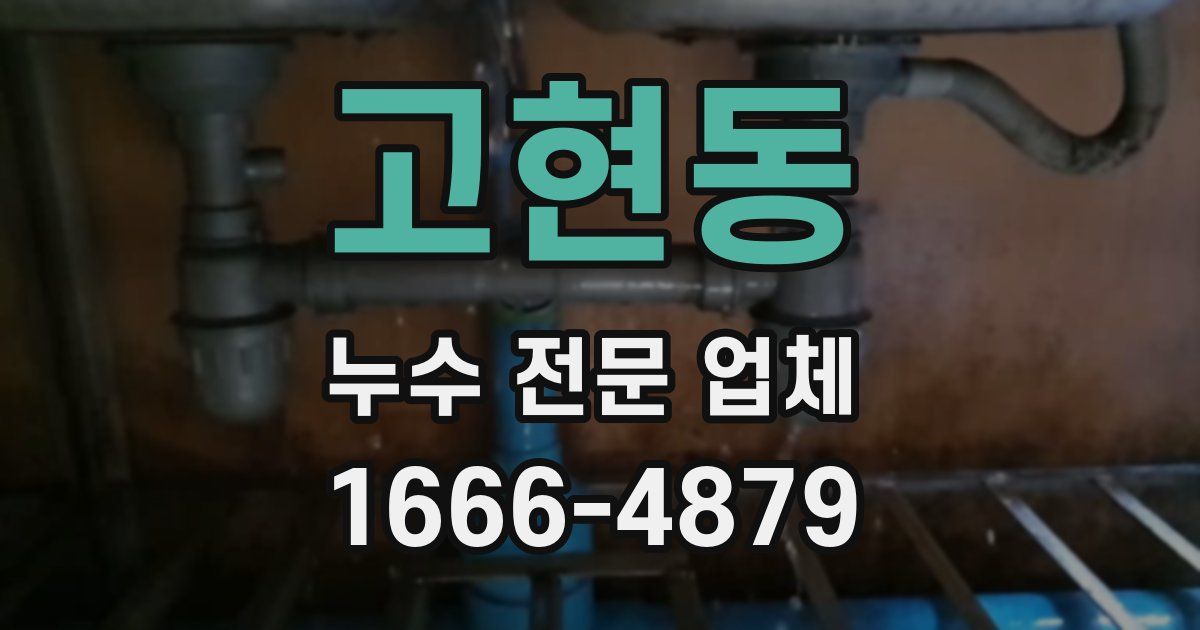 고현동 누수 전문 업체