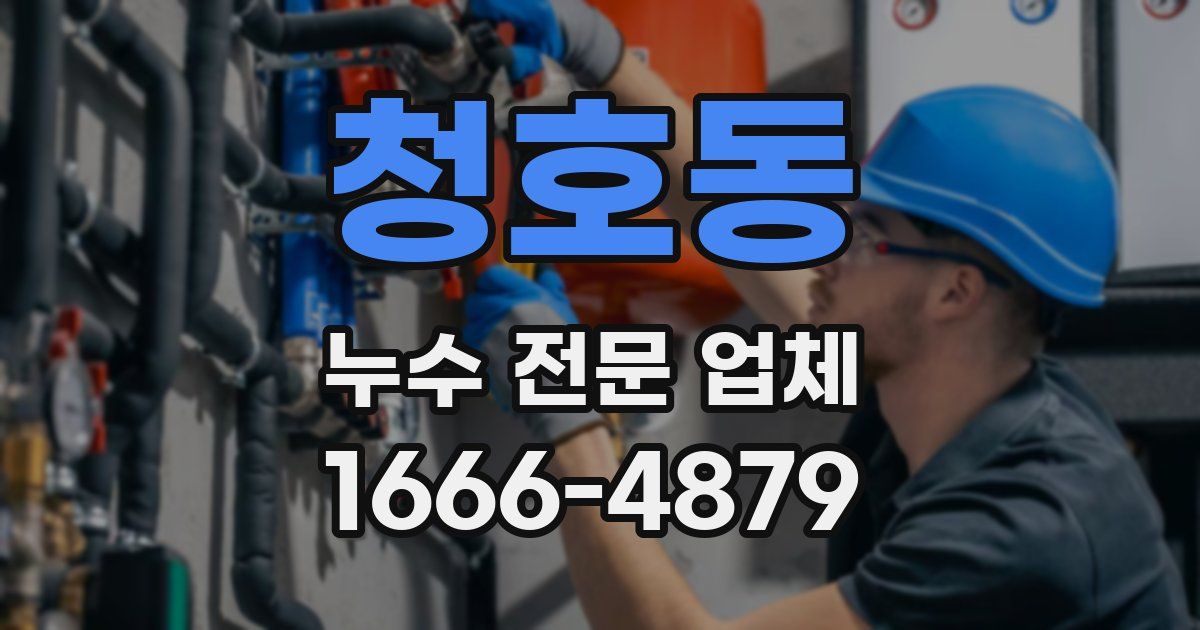청호동 누수 전문 업체