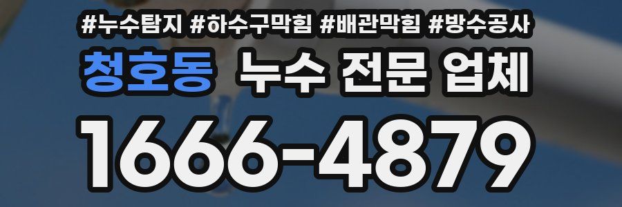 청호동 누수 전문 업체