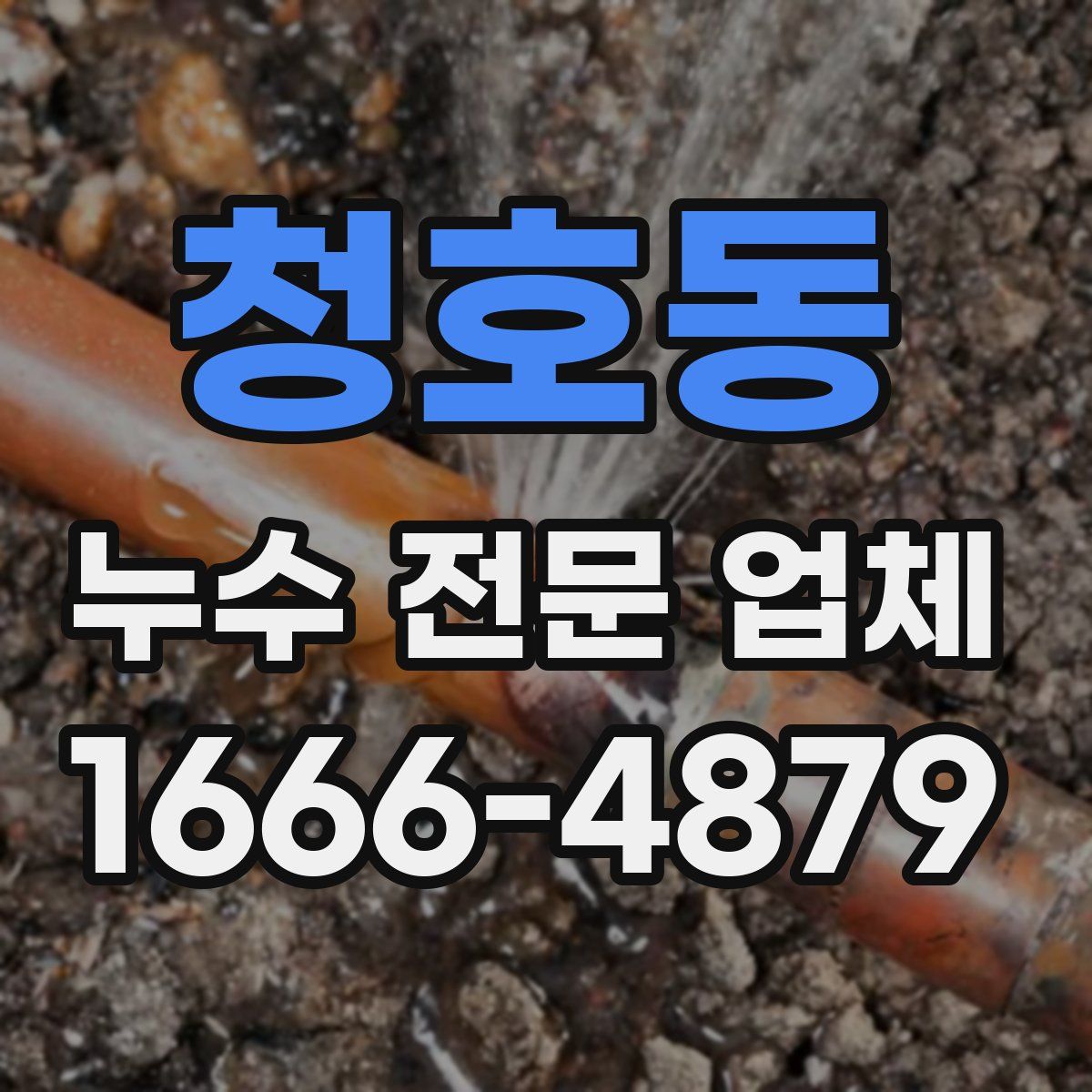청호동 누수 전문 업체