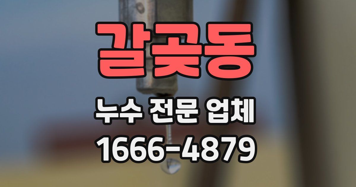 갈곶동 누수 전문 업체