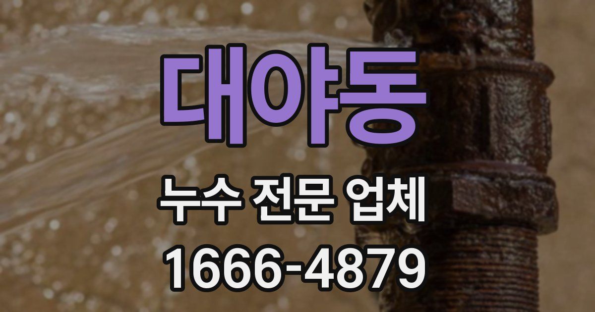 대야동 누수 전문 업체