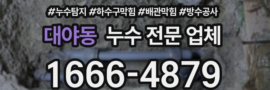 대야동 누수 전문 업체