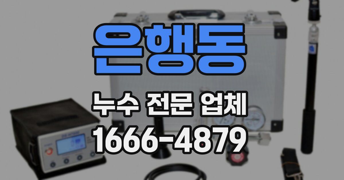 은행동 누수 전문 업체