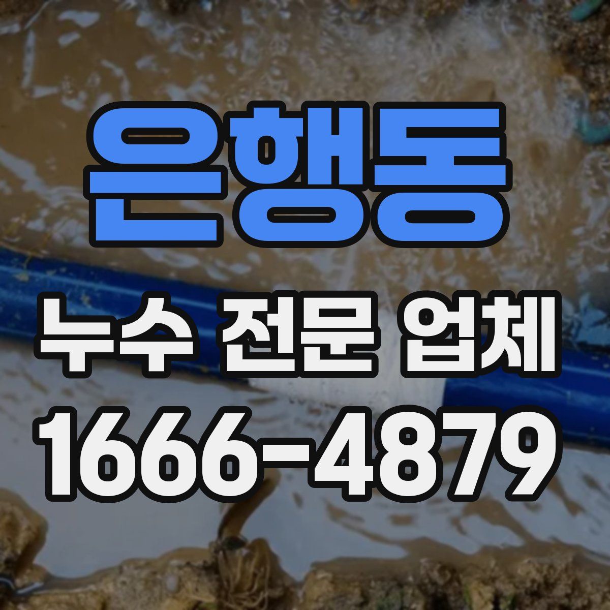 은행동 누수 전문 업체