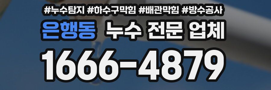 은행동 누수 전문 업체
