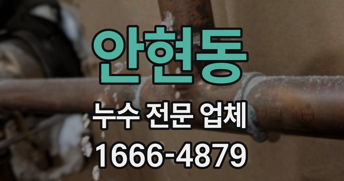 안현동 누수 전문 업체