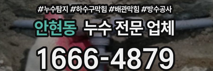안현동 누수 전문 업체