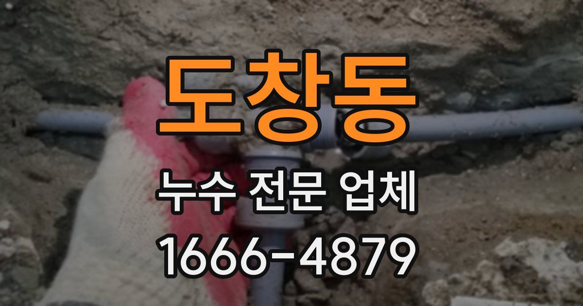 도창동 누수 전문 업체