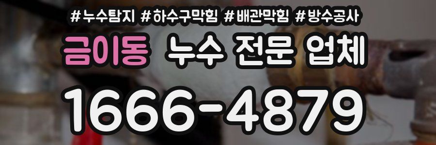 금이동 누수 전문 업체