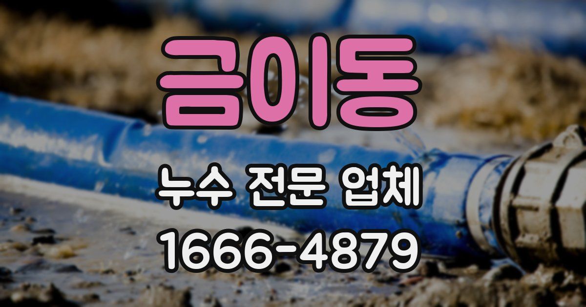 금이동 누수 전문 업체
