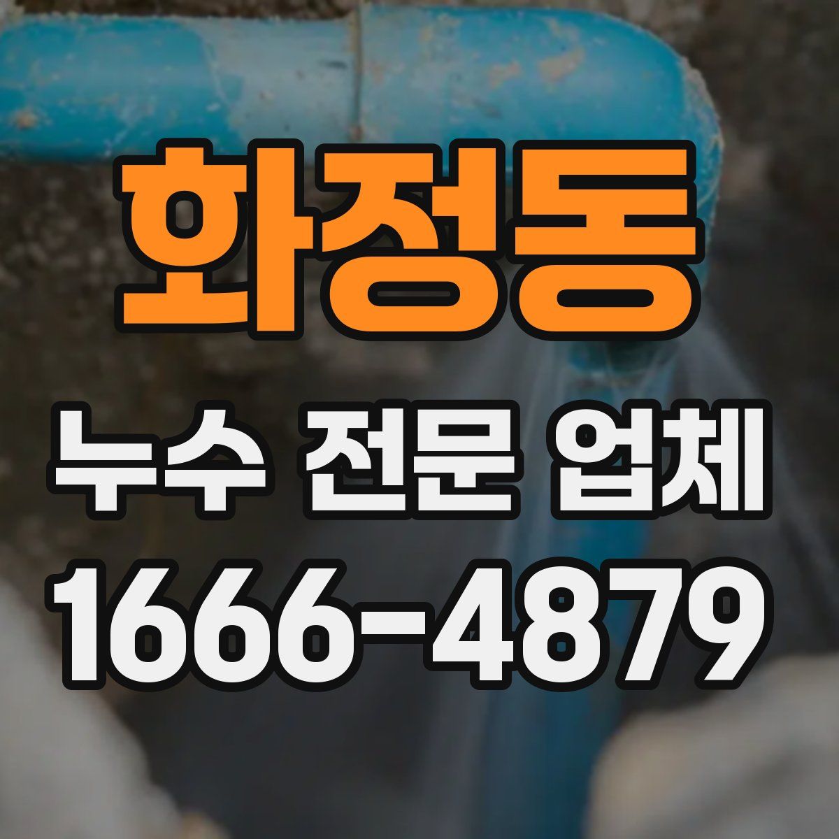 화정동 누수 전문 업체