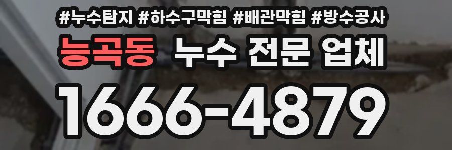 능곡동 누수 전문 업체