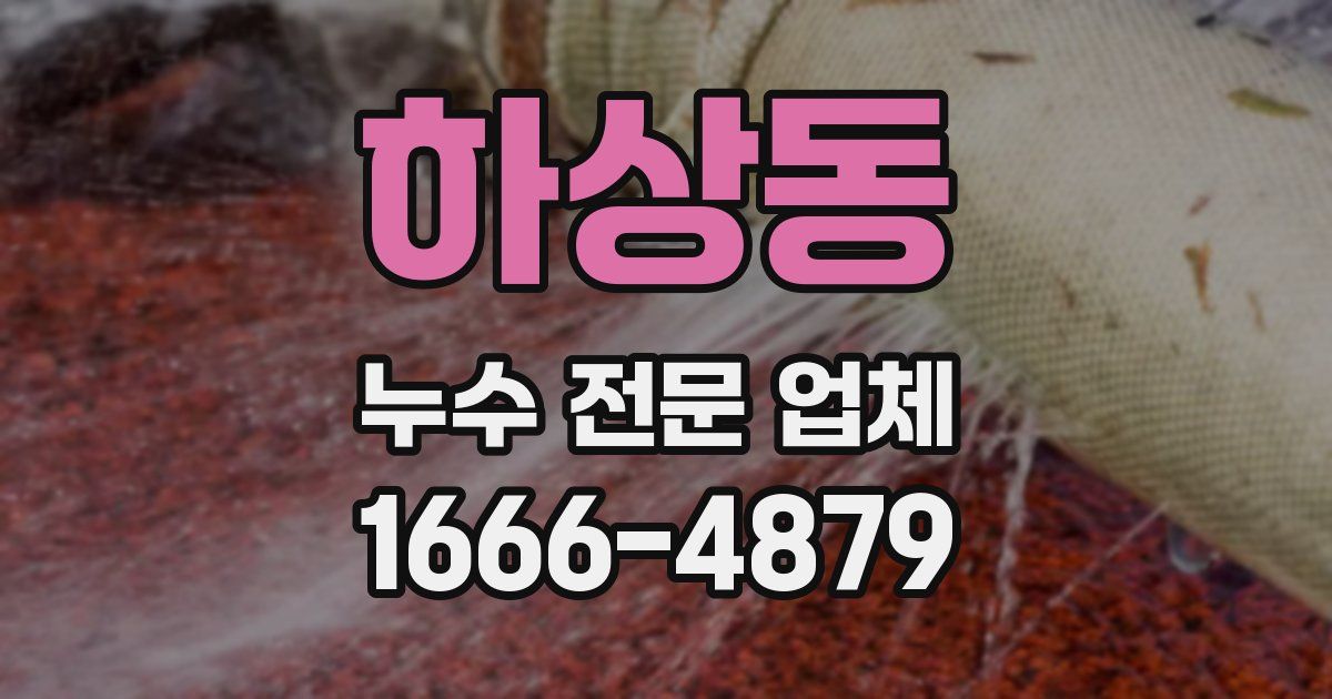 하상동 누수 전문 업체