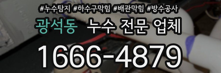 광석동 누수 전문 업체