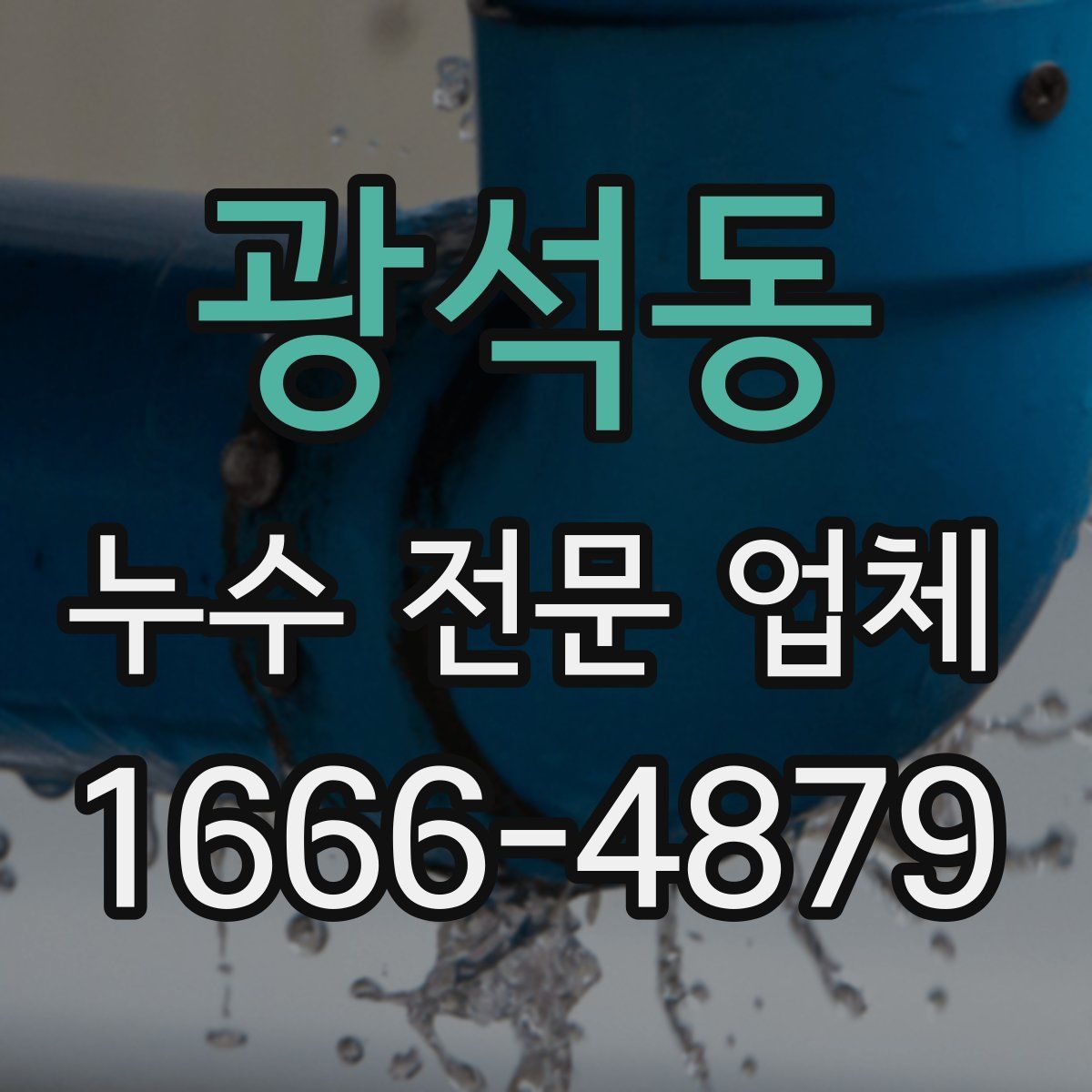 광석동 누수 전문 업체