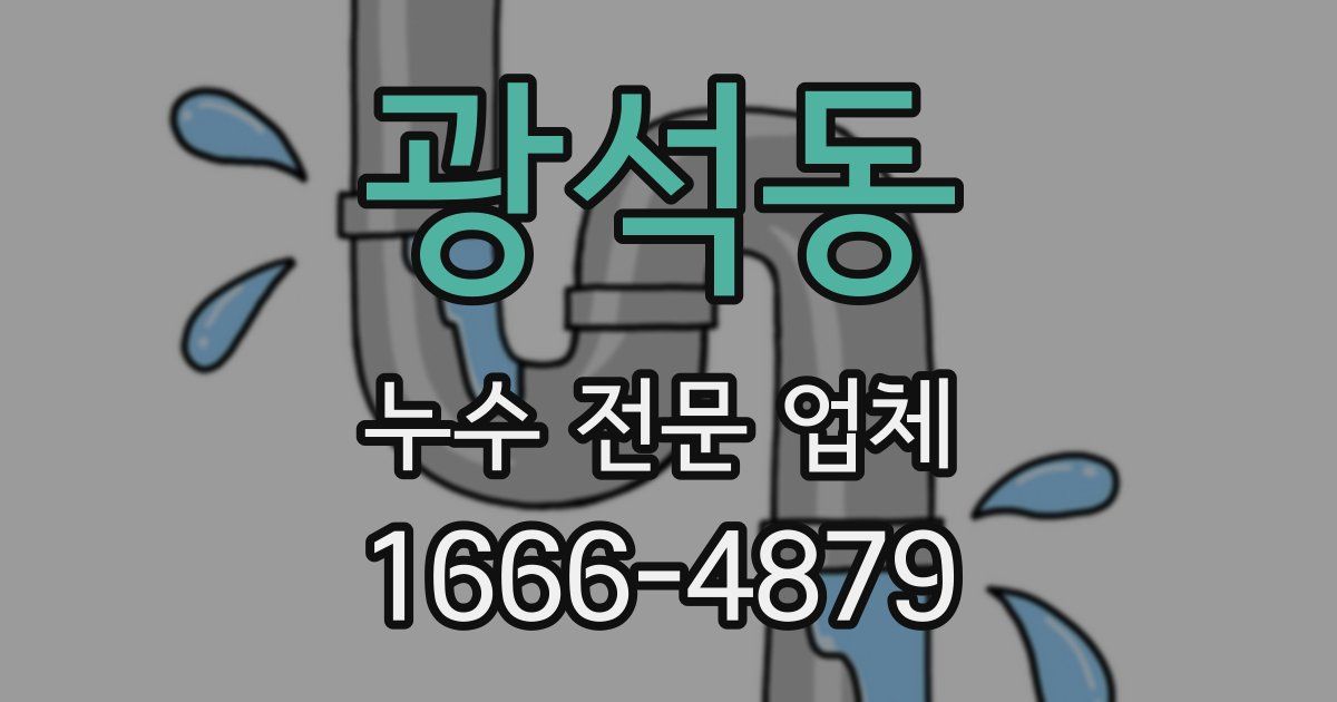 광석동 누수 전문 업체