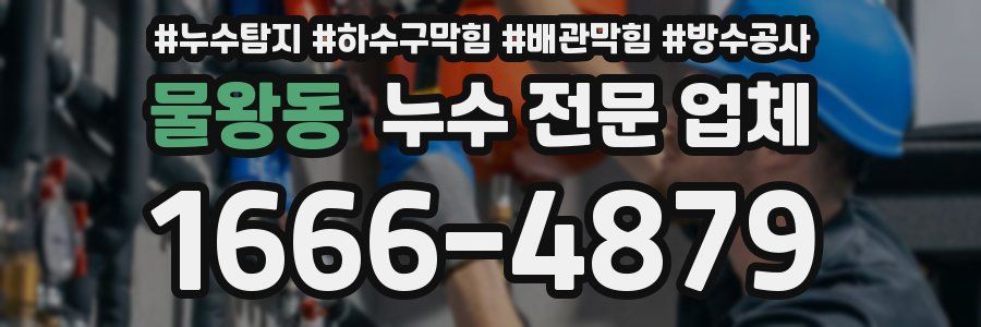물왕동 누수 전문 업체