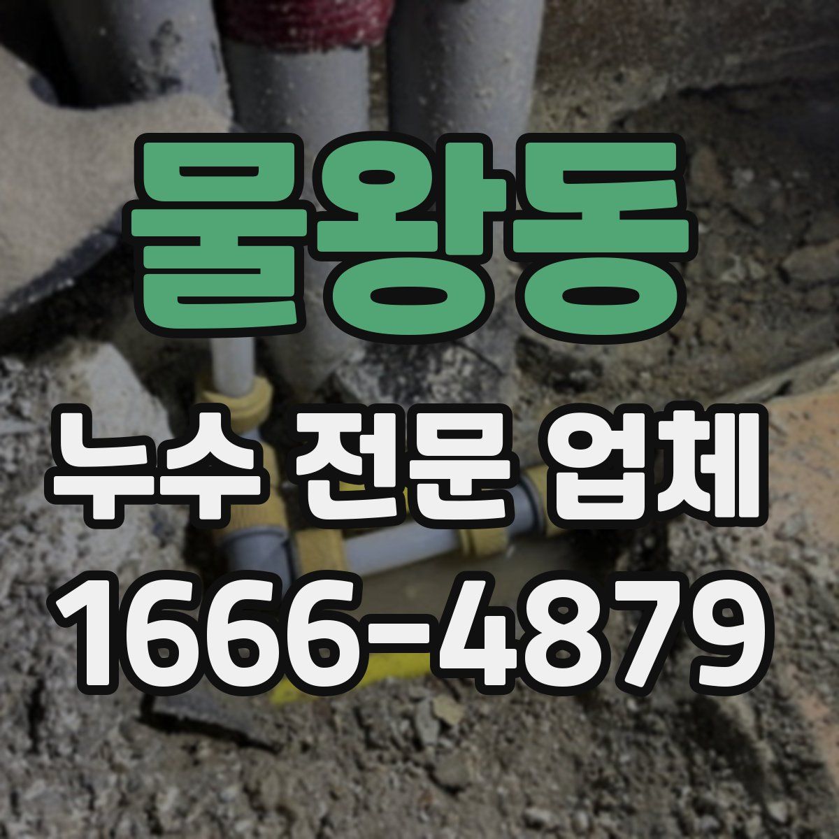 물왕동 누수 전문 업체