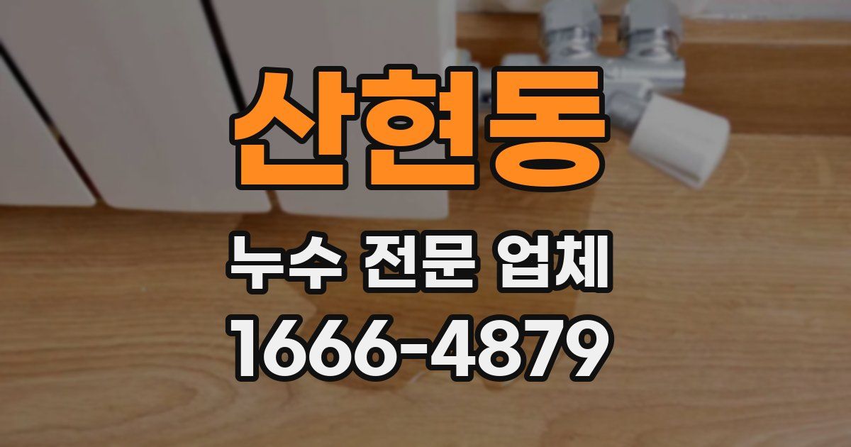 산현동 누수 전문 업체