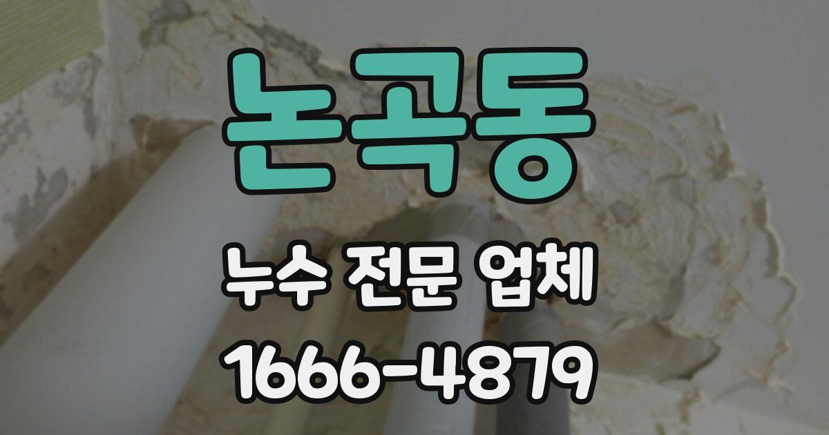논곡동 누수 전문 업체