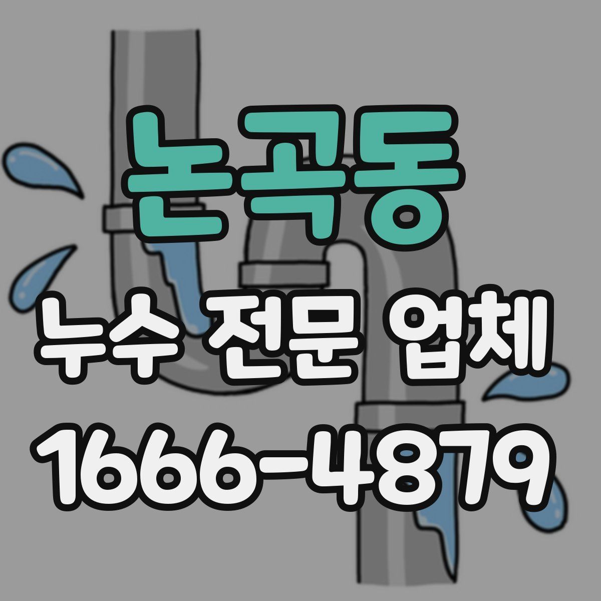 논곡동 누수 전문 업체