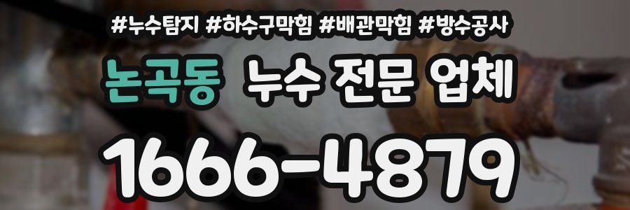 논곡동 누수 전문 업체
