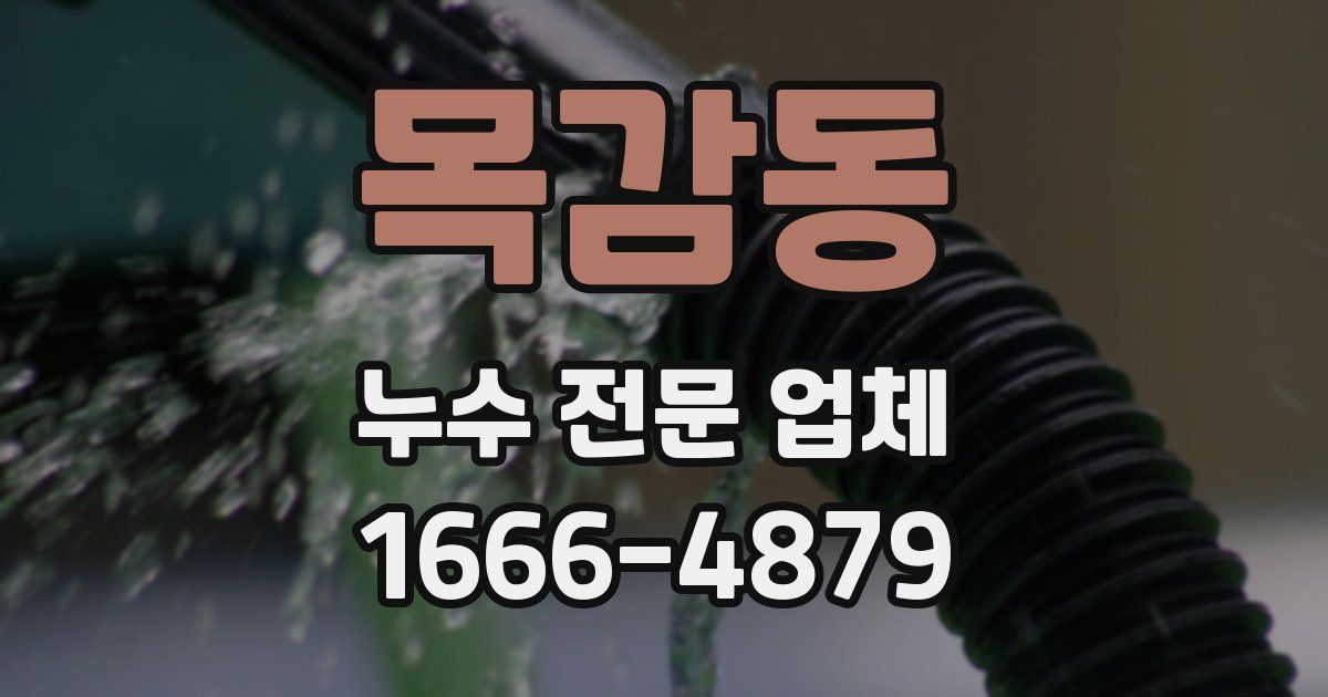목감동 누수 전문 업체