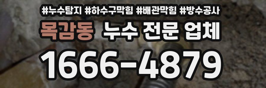 목감동 누수 전문 업체