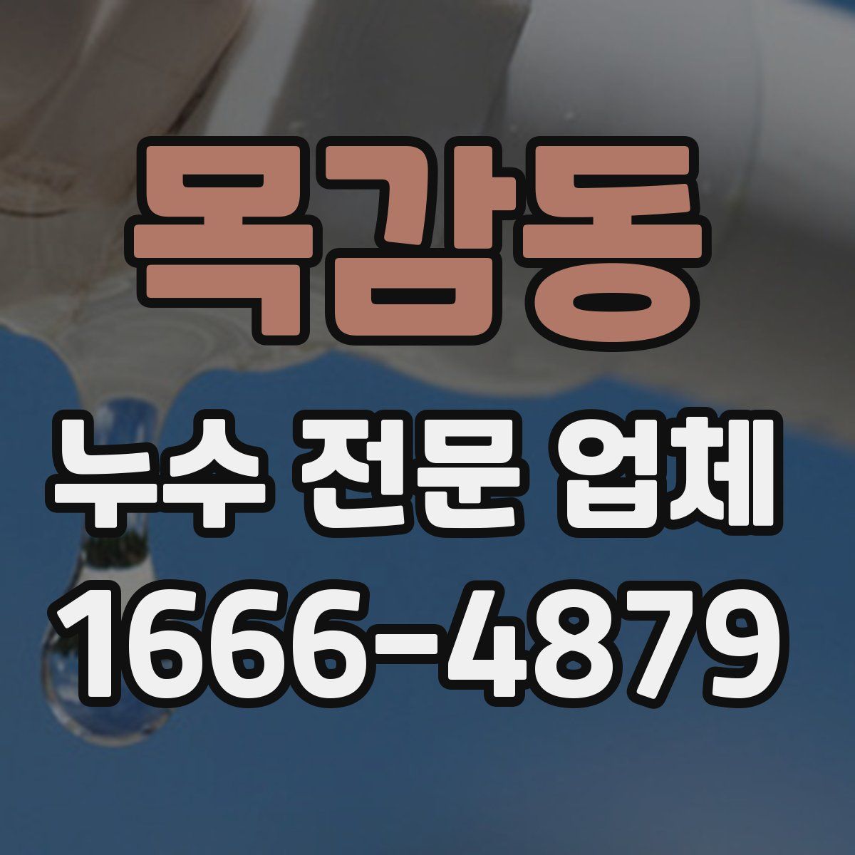 목감동 누수 전문 업체
