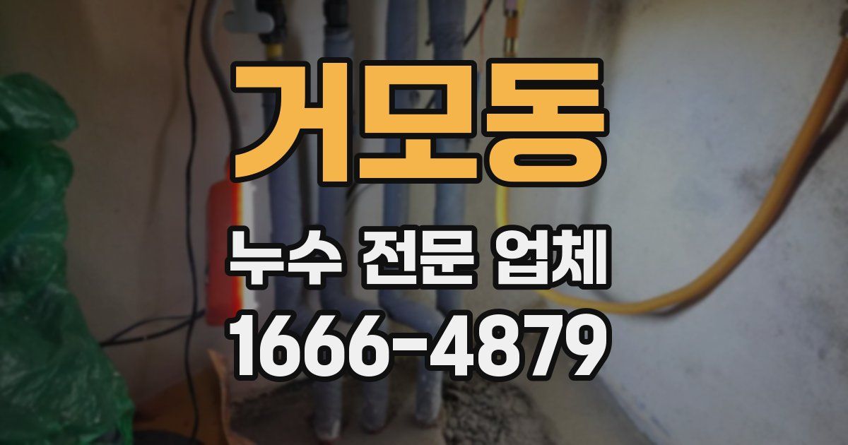 거모동 누수 전문 업체