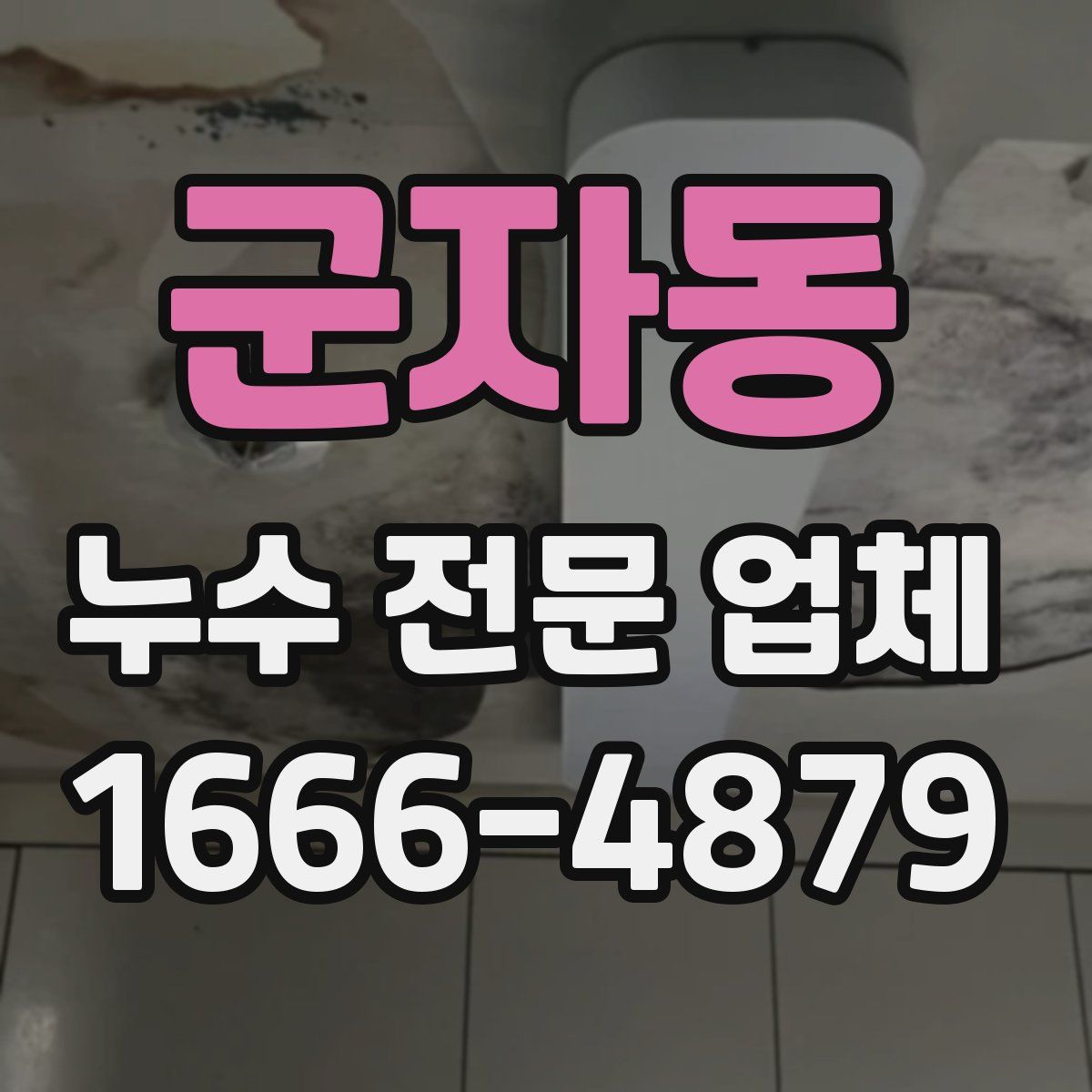 군자동 누수 전문 업체