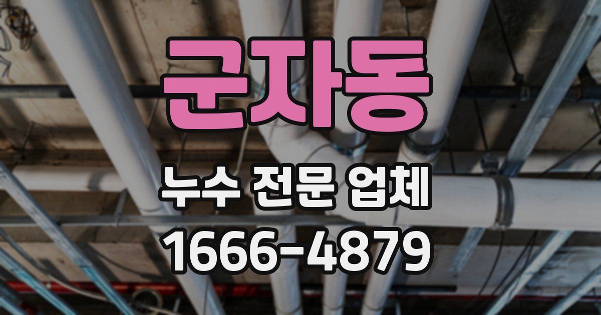 군자동 누수 전문 업체