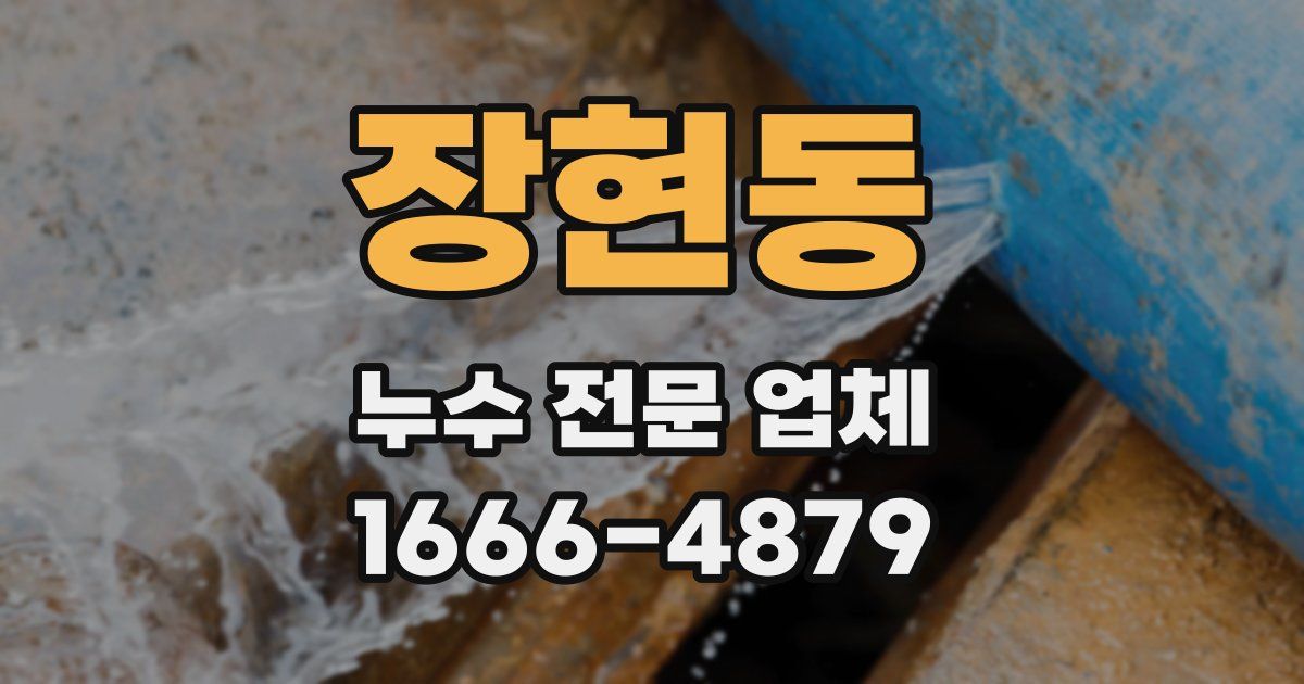 장현동 누수 전문 업체