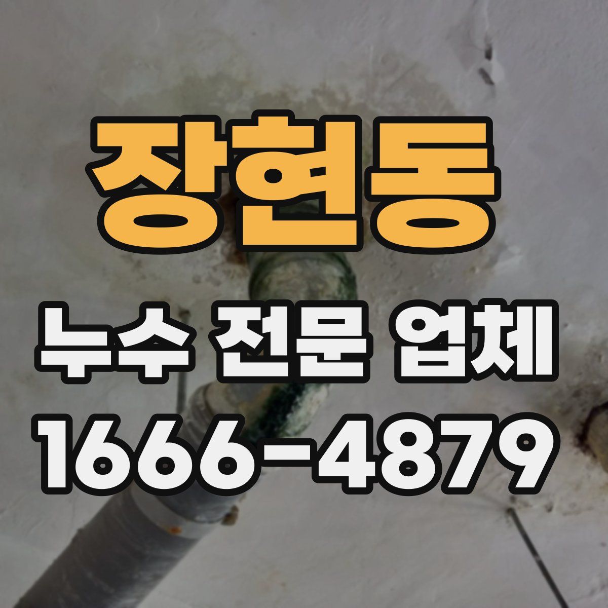 장현동 누수 전문 업체