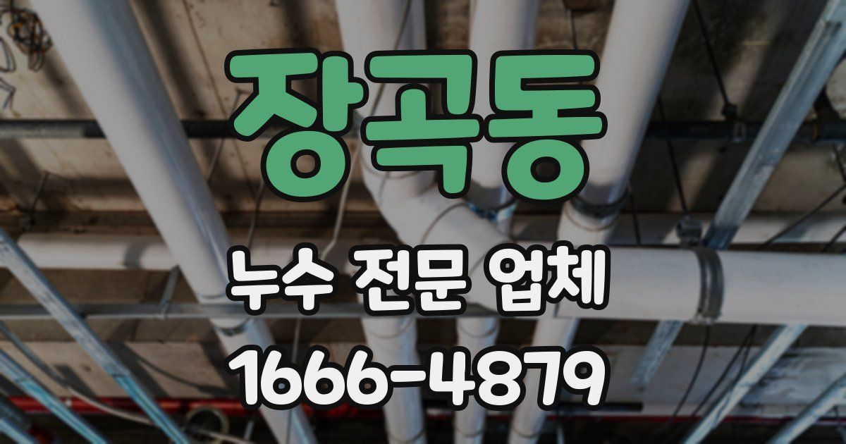 장곡동 누수 전문 업체