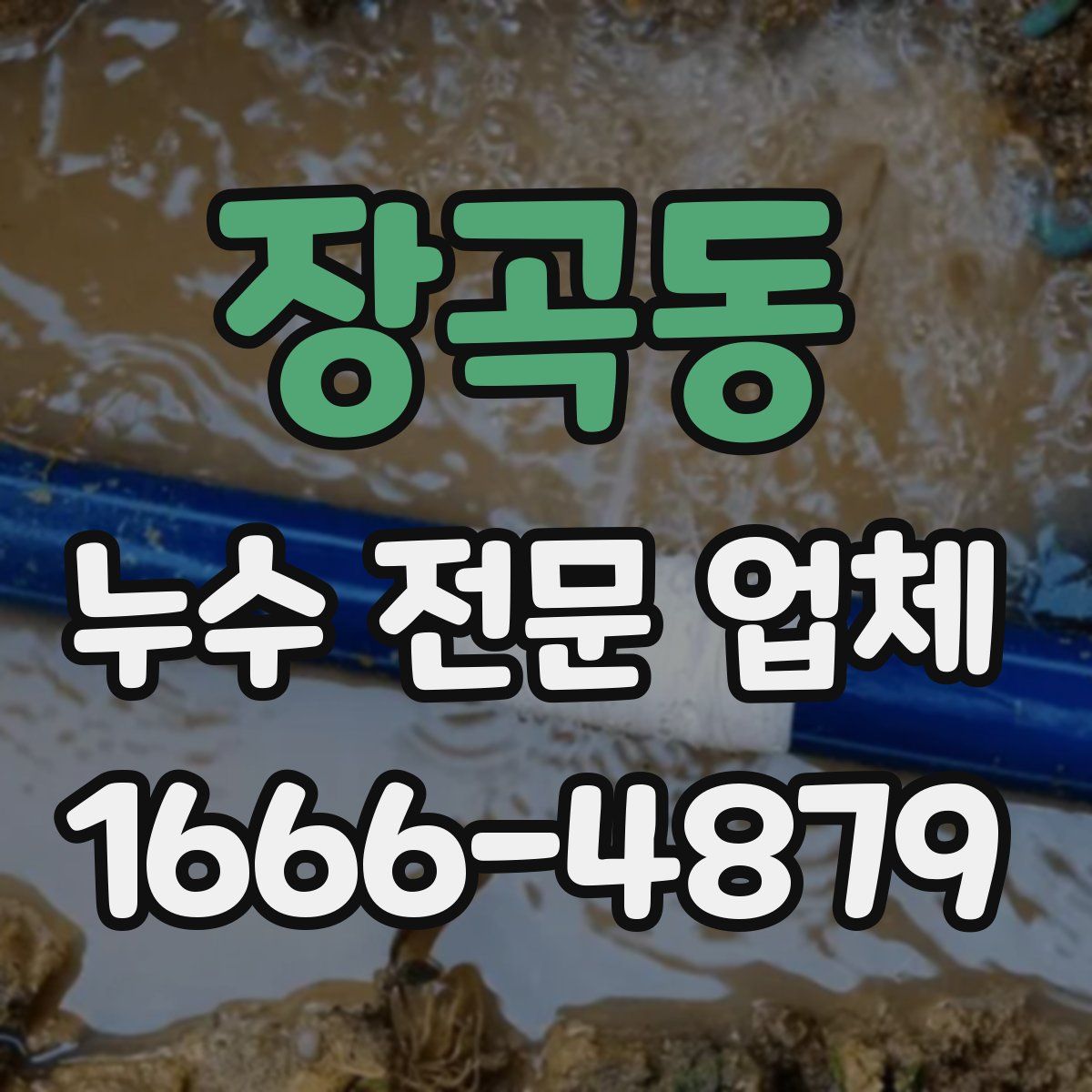 장곡동 누수 전문 업체