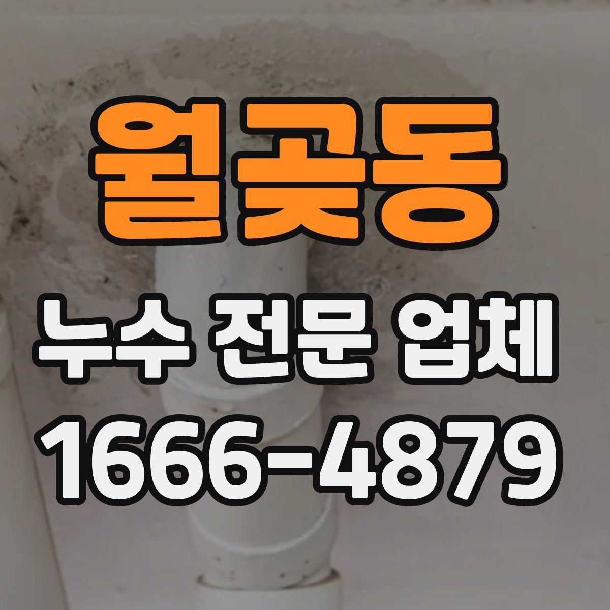 월곶동 누수 전문 업체