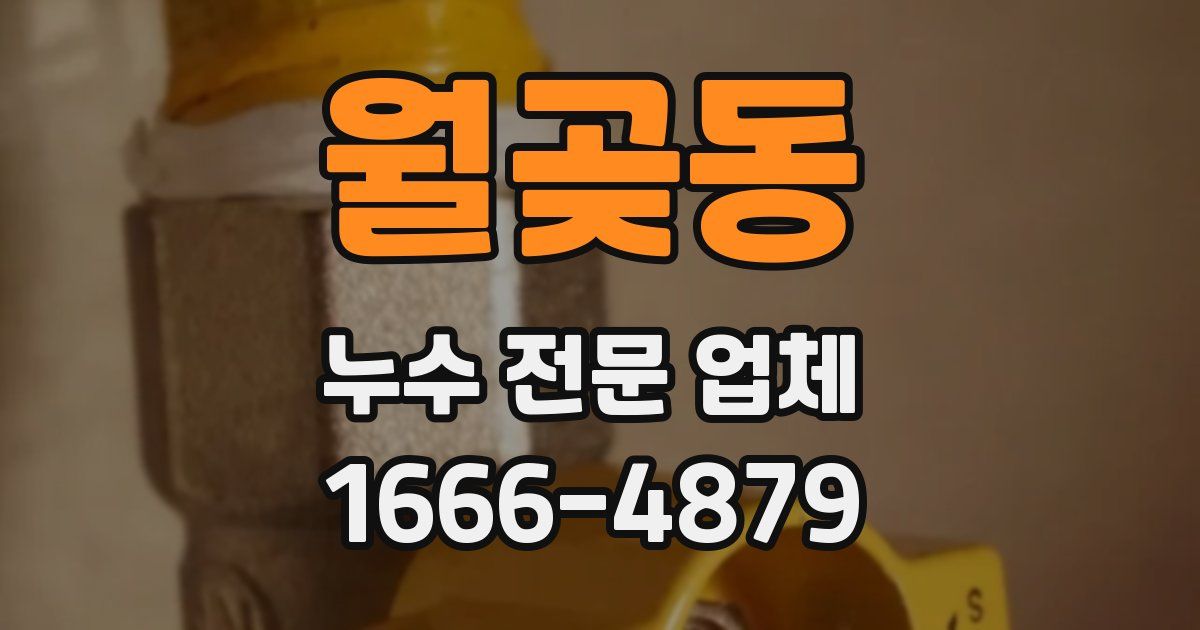 월곶동 누수 전문 업체
