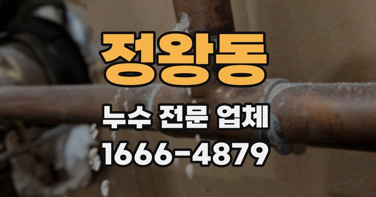 정왕동 누수 전문 업체