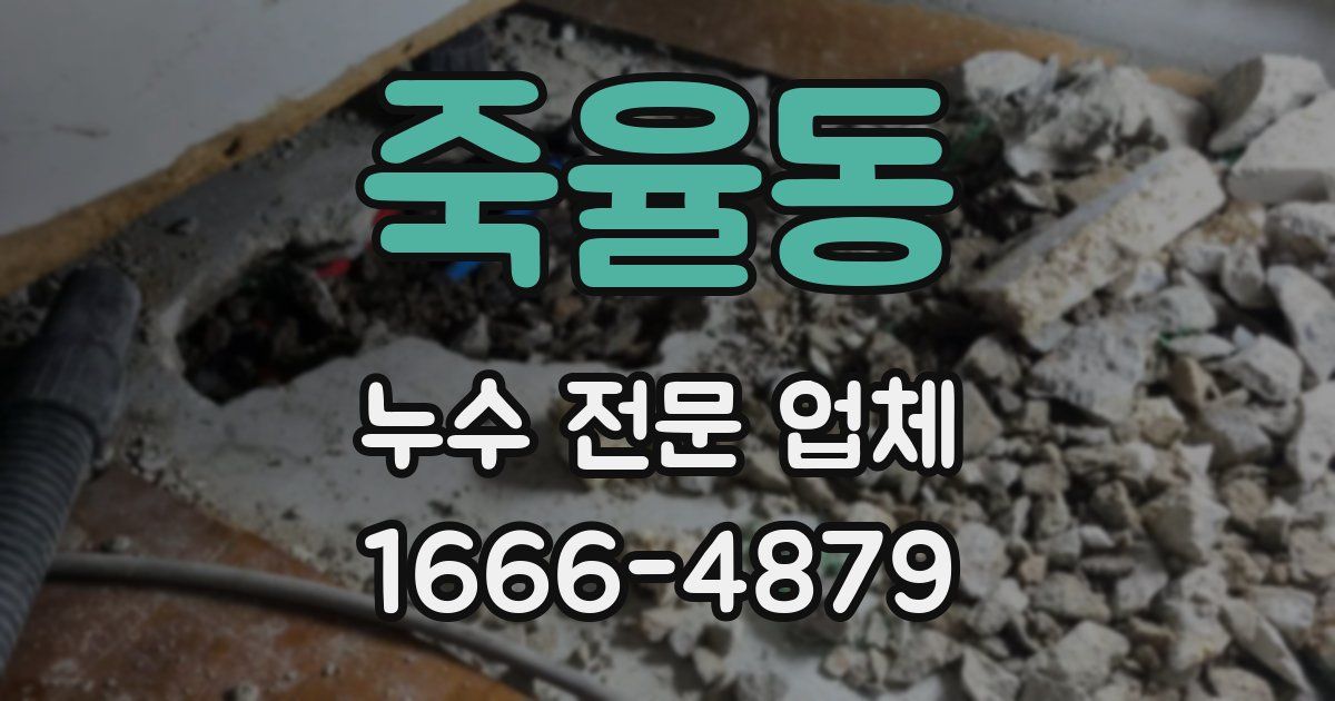 죽율동 누수 전문 업체