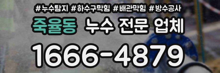 죽율동 누수 전문 업체