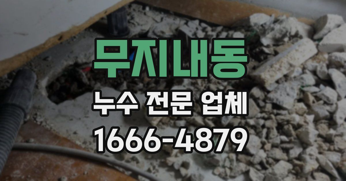 무지내동 누수 전문 업체