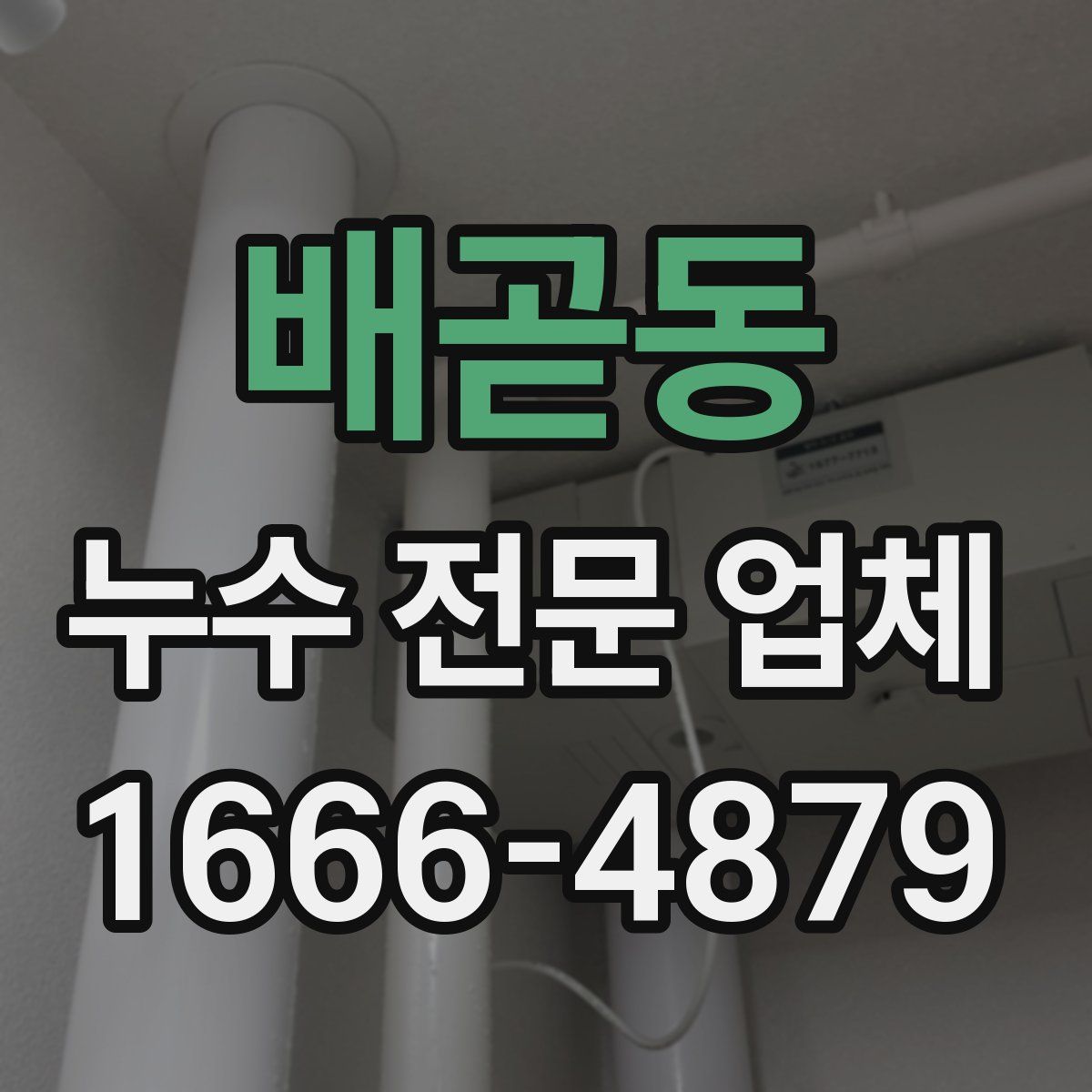 배곧동 누수 전문 업체