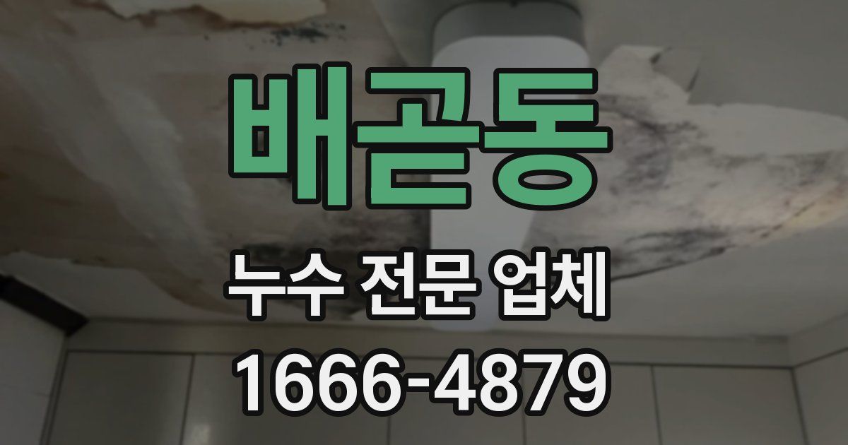 배곧동 누수 전문 업체