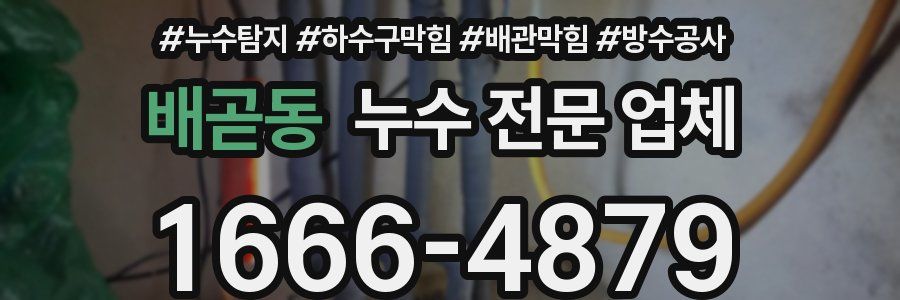 배곧동 누수 전문 업체