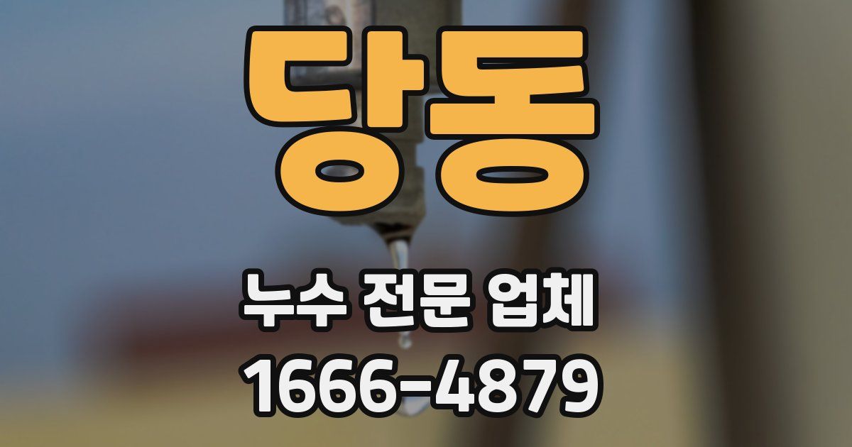당동 누수 전문 업체