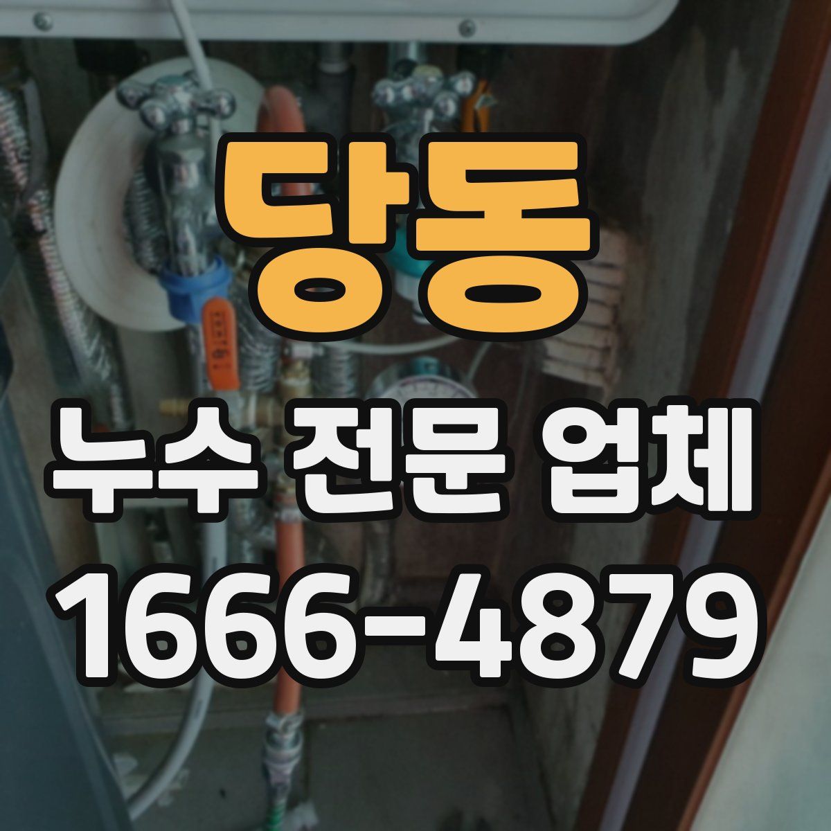 당동 누수 전문 업체